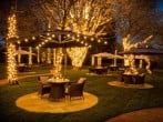 Garden at night Garden at night